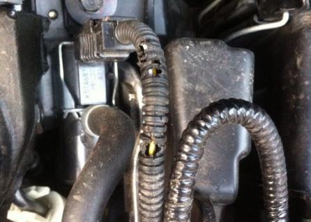 发动机线路被老鼠咬了还能开吗,老鼠咬破发动机舱什么线不能启动