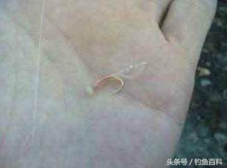 日本hara钓法,日本最受欢迎的钓鱼船