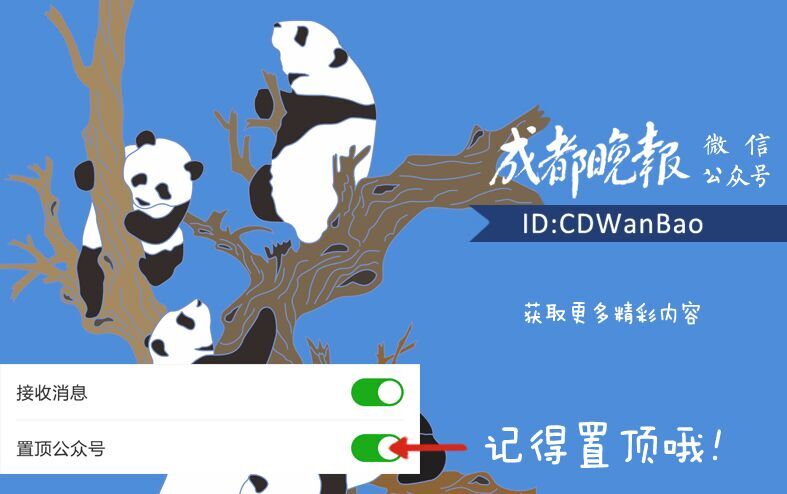 成都市就业招聘会,成都散乱污