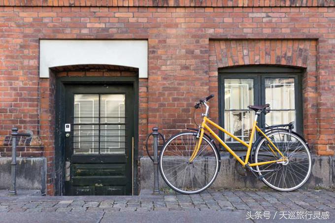 丹麦生蚝成灾救灾,丹麦生蚝泛滥成灾人民的名义