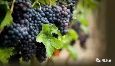 五一活动游玩,天天活动丰富多彩