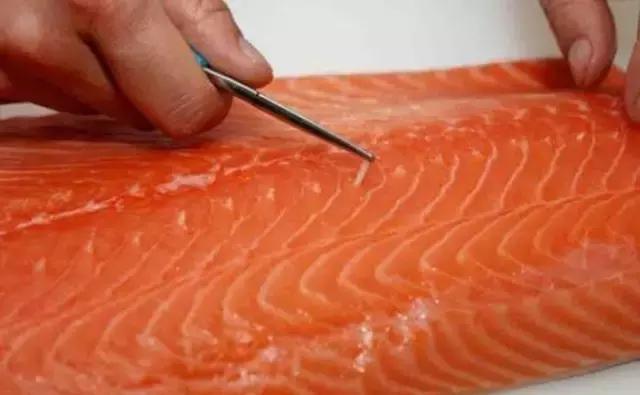 大西洋鲑鱼和挪威三文鱼的区别,我们吃的三文鱼怎么来的