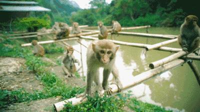 龙虎山最近发生了什么事件,广西南宁龙虎山事件真相视频