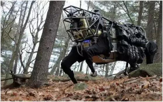 丹麦生蚝泛滥解决办法,丹麦生蚝泛滥的解决办法