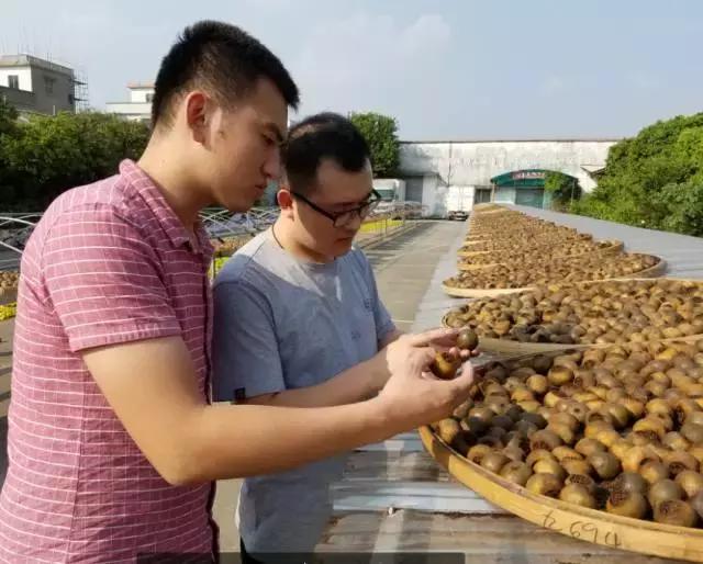 劣质小青柑的危害,劣质小青柑有种氨水味道