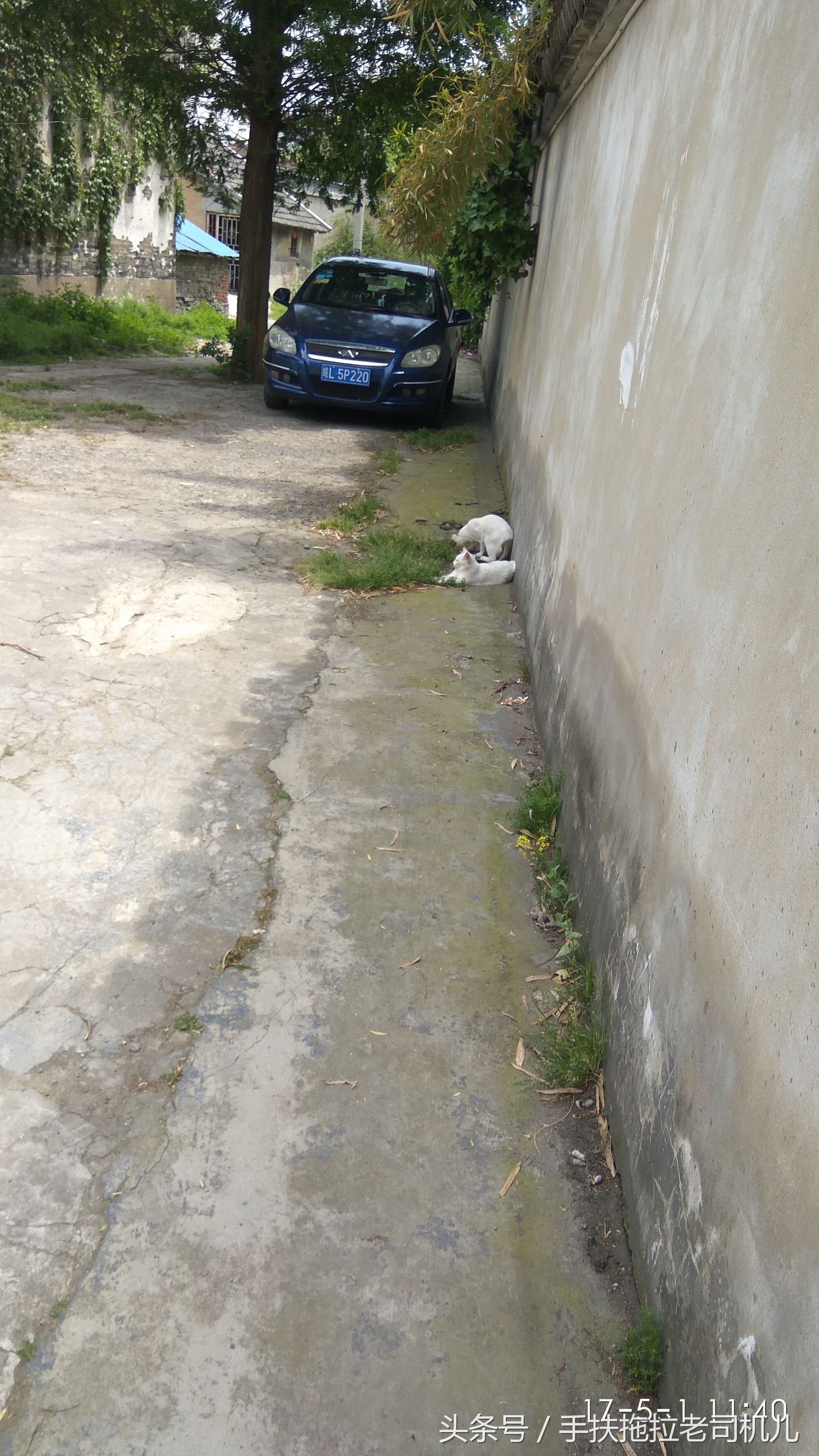 金山枫泾古镇地图,金山枫泾古镇好玩吗值得去吗