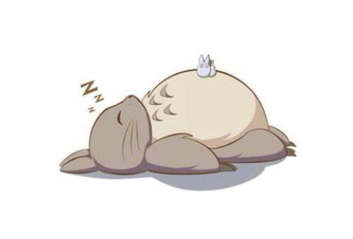 天气多变，宠物生病怎么办？