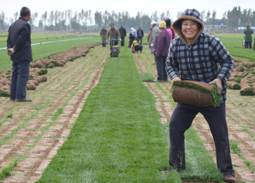 决定创业该怎么做,决定试着自己创业