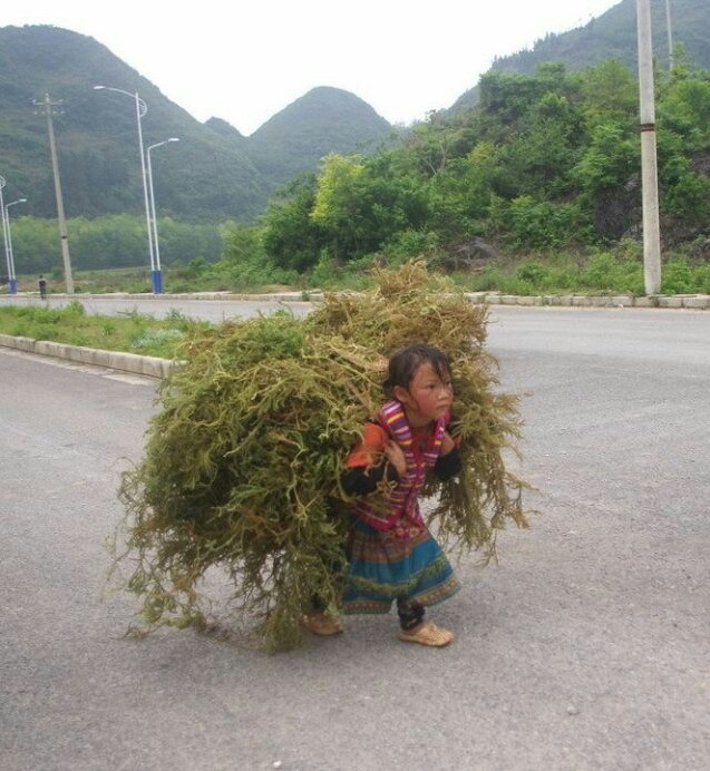 广西女孩选择嫁江浙沪不,广西女孩适合做老婆吗