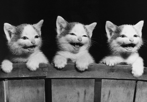 高端创业小项目加盟,300元冷门创业项目加盟