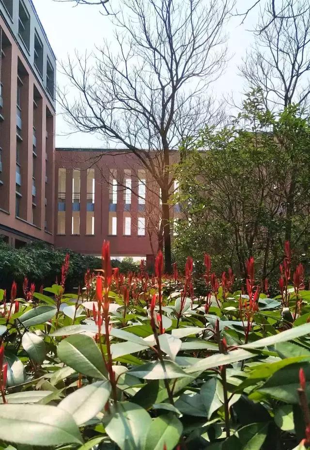 盐粒子有哪些种类,盐粒子是什么形成的