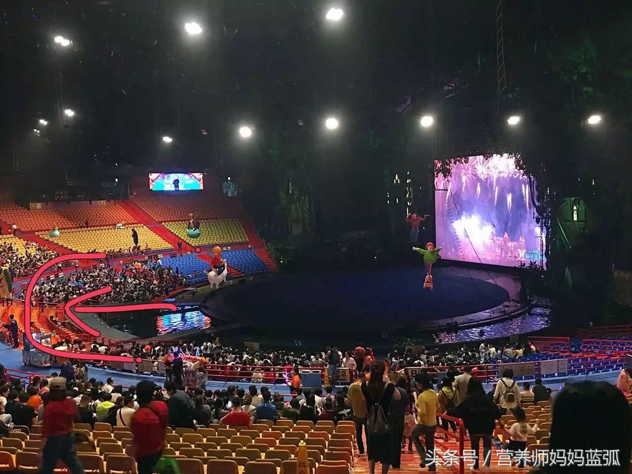 暑假长隆海洋王国游玩感受,海洋王国好玩还是长隆野生动物园