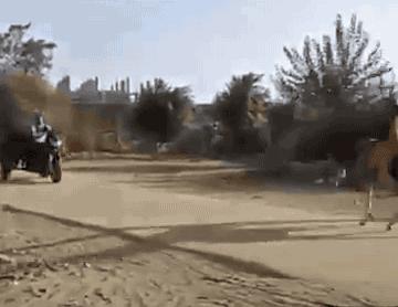 最近爆火全网的青花瓷,搞笑青花瓷器古玩鉴定视频