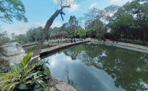 深圳东湖公园门票多少,深圳东湖公园要门票吗