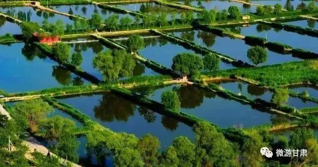 黄河三峡旅游攻略跟团,黄河三峡的攻略