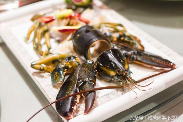 在大海里吃各种各样的海鲜,海边吃海鲜的真实感受