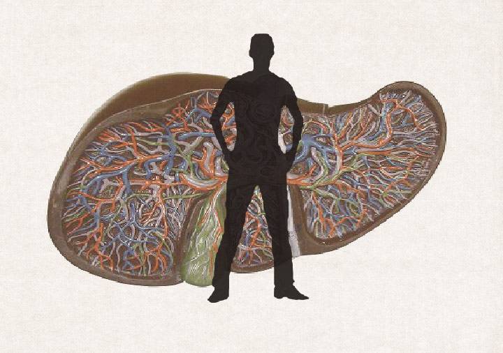 最近20年乙肝病毒会被攻克吗,乙肝病毒侵入人体致命的全过程