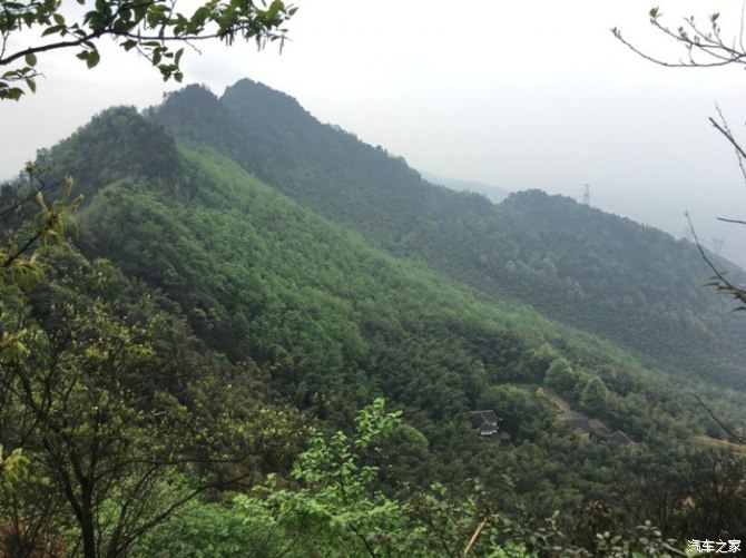 天下第一筇竹,天下第一竹林