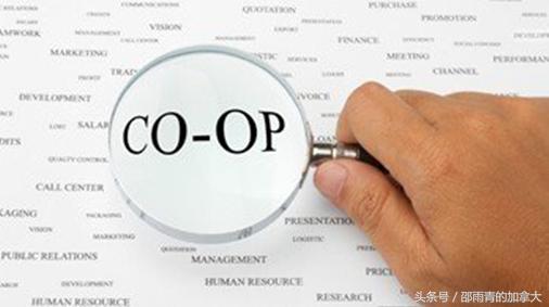 想知道加拿大留学生如何养活自己么