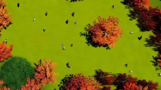 武大樱花园的介绍,武大樱园