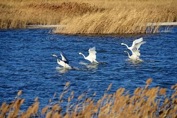 巴彦淖尔五一旅游攻略,五一巴彦淖尔去哪儿玩推荐