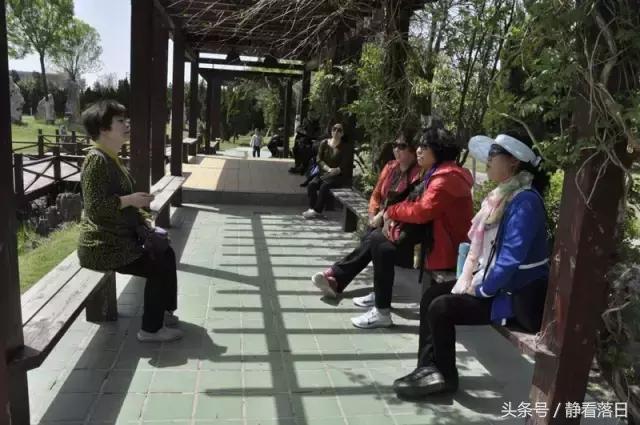 开怀一笑无忌惮，老怪小妖真齐全（红叶网老友聚会图文综合）