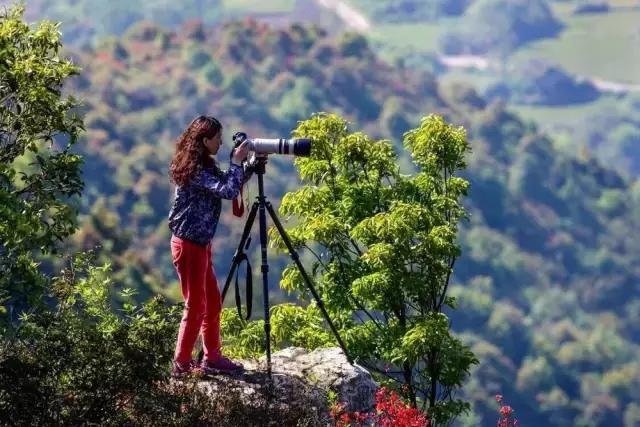 4月照片,4月的照片大全