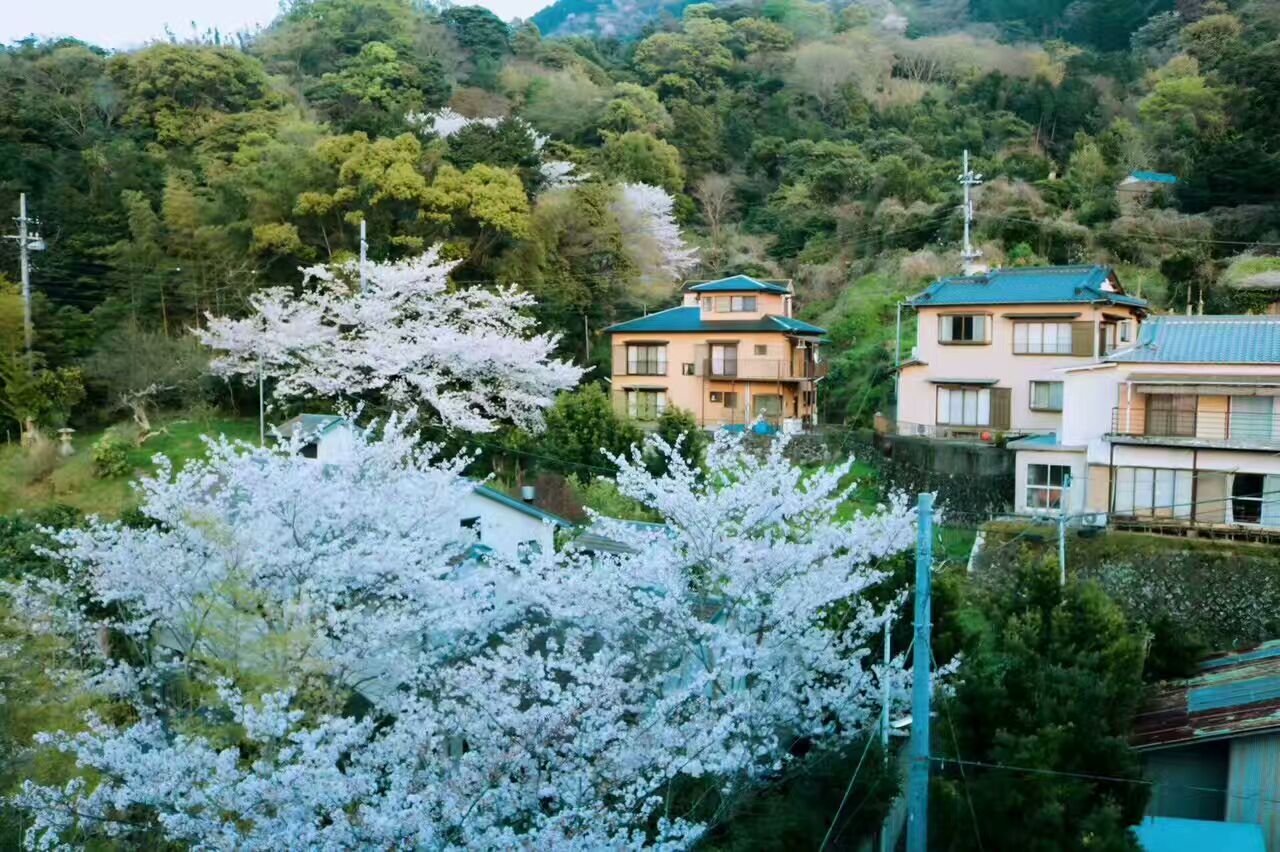 初游日本,日本最值得尊敬的对手
