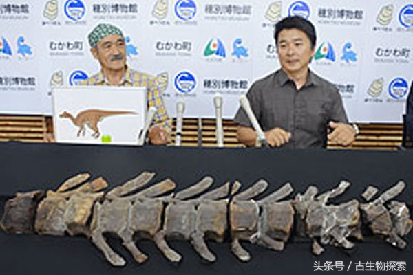 日本发现的恐龙化石,日本恐龙化石