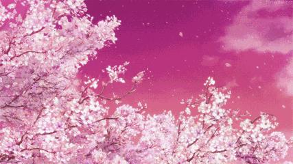 莫负春光辽宁赏花踏青攻略来了,辽宁最美十大花海