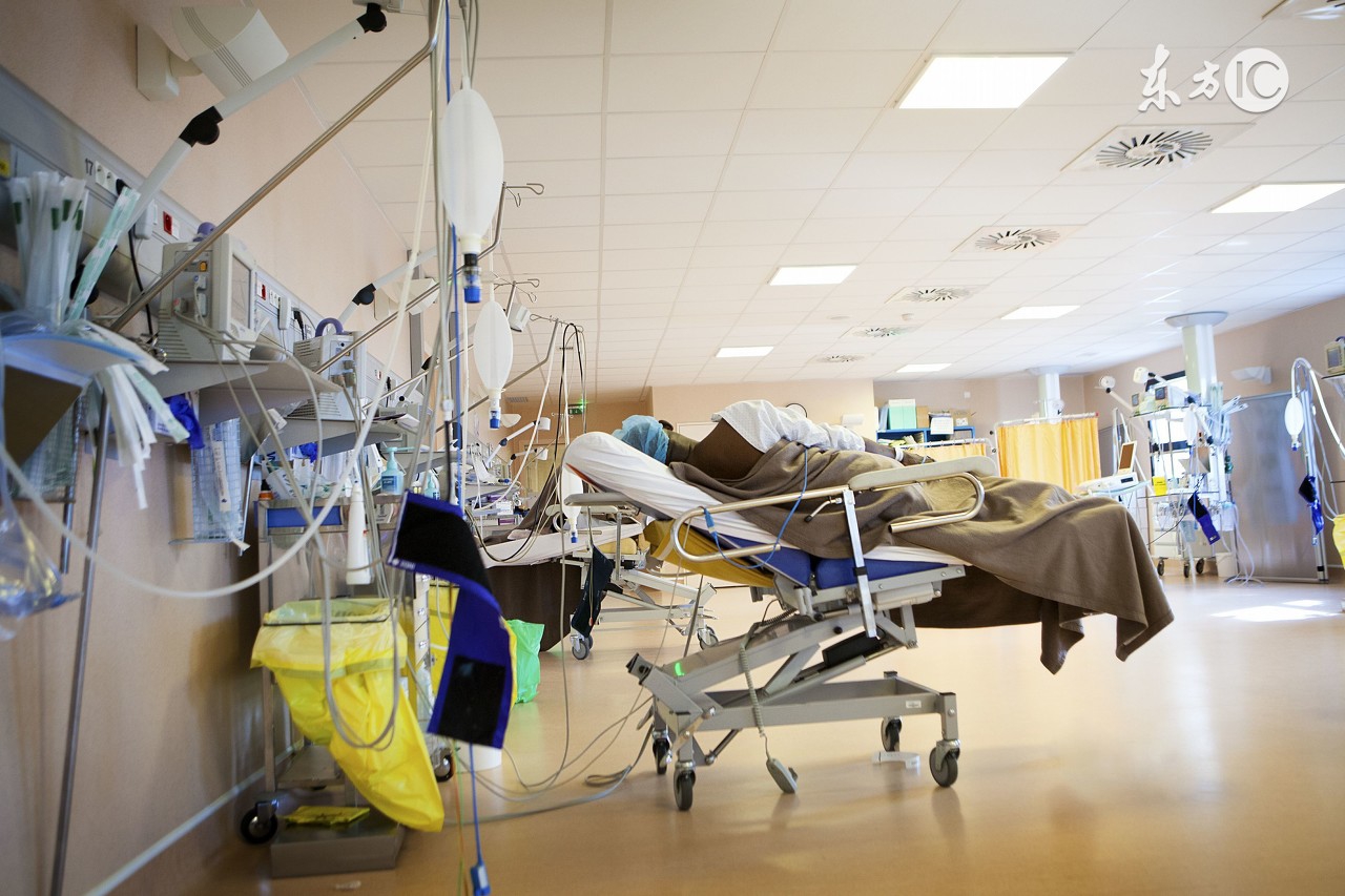 异丙酚牛奶,麻醉用的小牛奶是什么