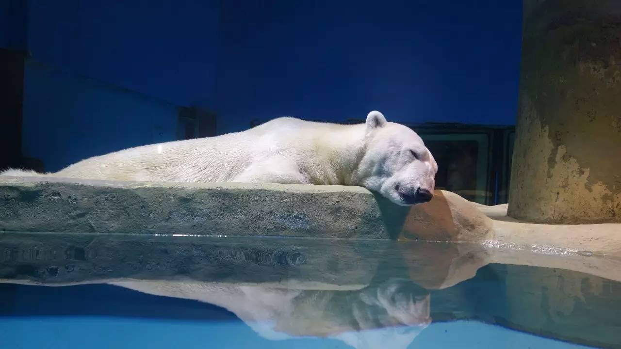 大连好玩的地方滨海路,大连东北路有什么好玩的