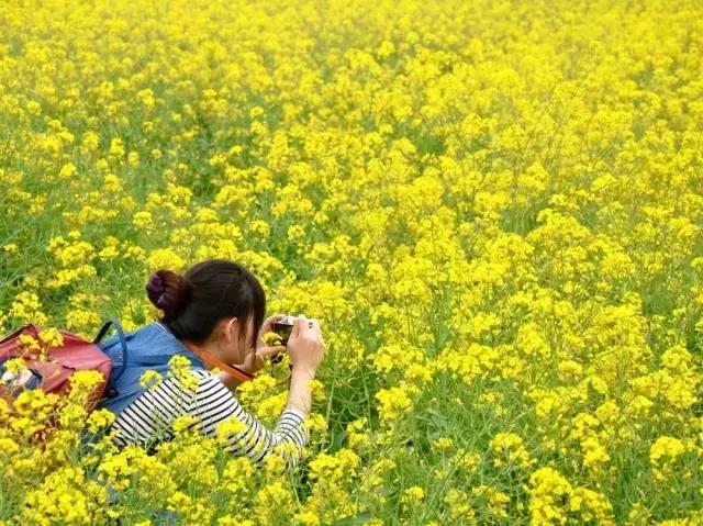 4月照片,4月的照片大全