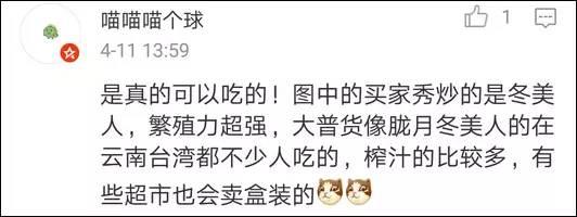 逆天了中国吃货!多肉植物炒肉吃!