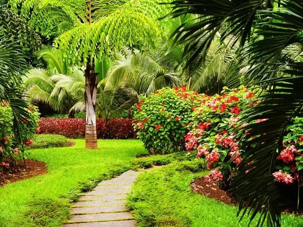 景洪泼水节注意事项,西双版纳泼水节如何不被泼