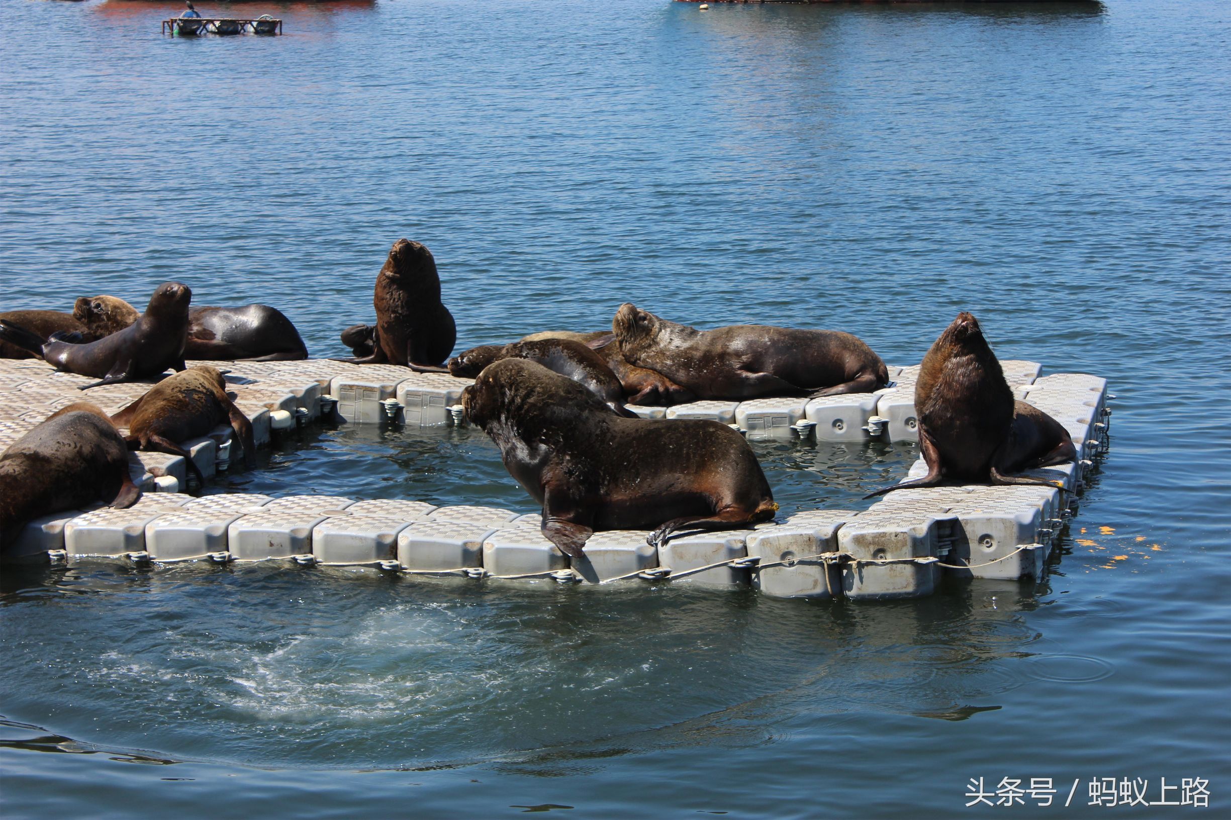 塔尔卡瓦诺智利军港图片,塔尔卡瓦诺城市