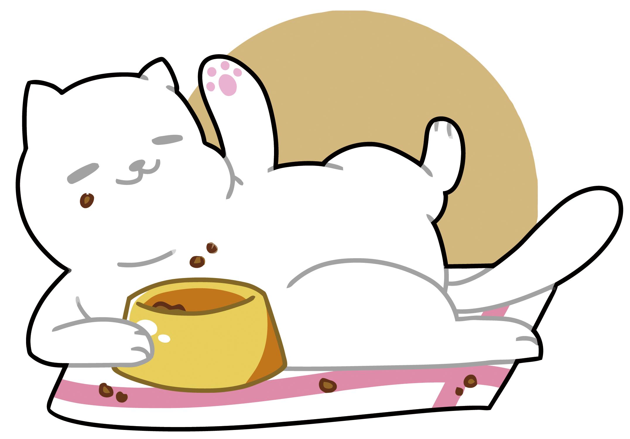 兽医不告诉你的秘密,兽医不会告诉你的秘诀