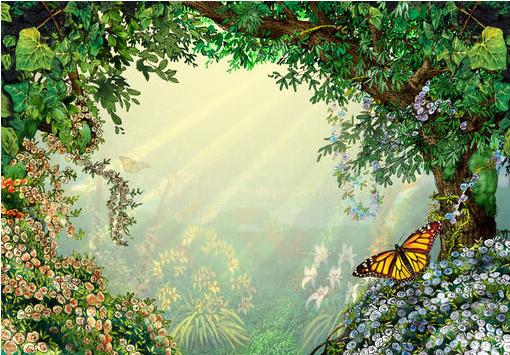 秘密花园2涂色成品,秘密花园涂色详细教程