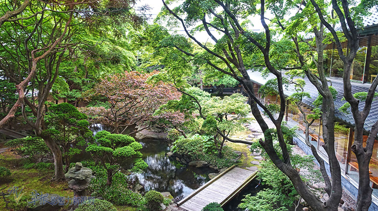 纪念品大全免费,有价值有用又便宜的纪念品