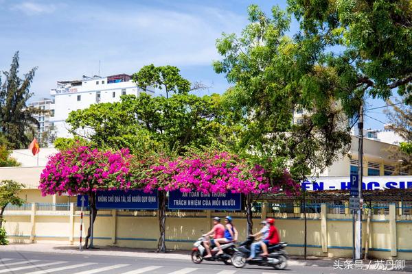 马尔代夫和芽庄哪个好玩,一个人的马尔代夫