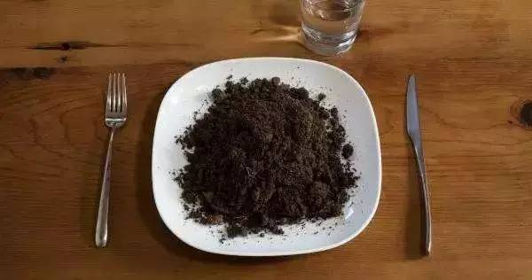 沙逼北京：论风沙的可食性报告！