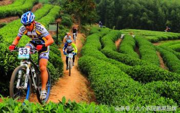 胡晓云,农产品区域公用品牌政策体系