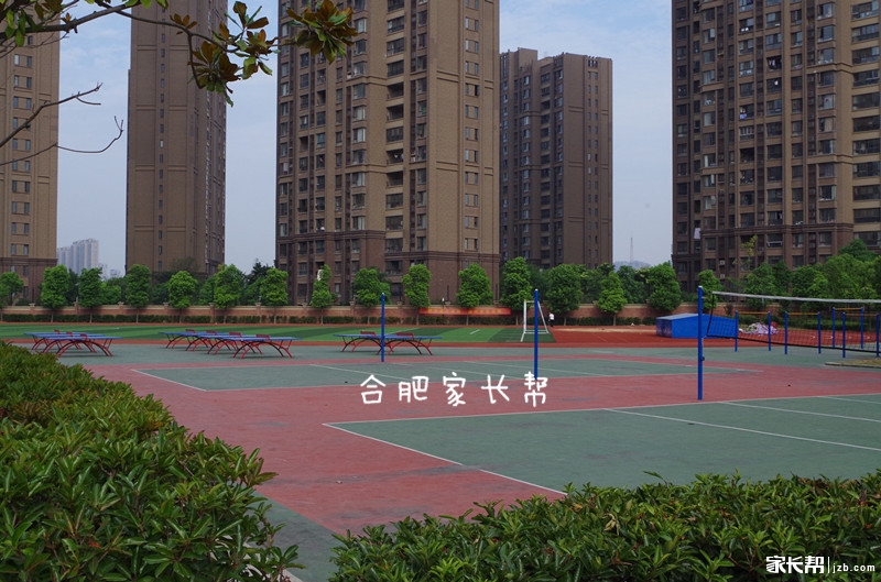 合肥市45中橡树湾校区独立招生,合肥45中橡树湾校区地图