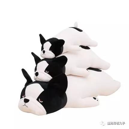 钱会花光人会散它萌不会离开你