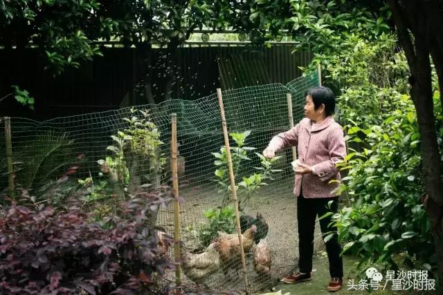 道韵㮾梨，和美水乡，一起去这千年古镇，赴一场穿越之旅可好？