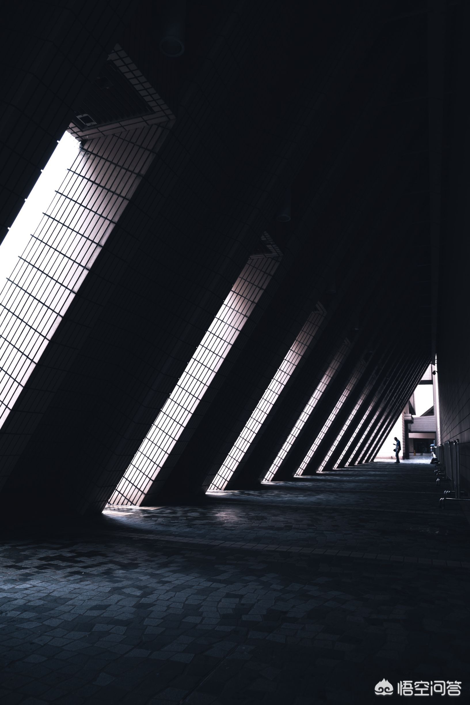 5分钟get十大摄影构图技巧,一般摄影构图常见的4种构图方法