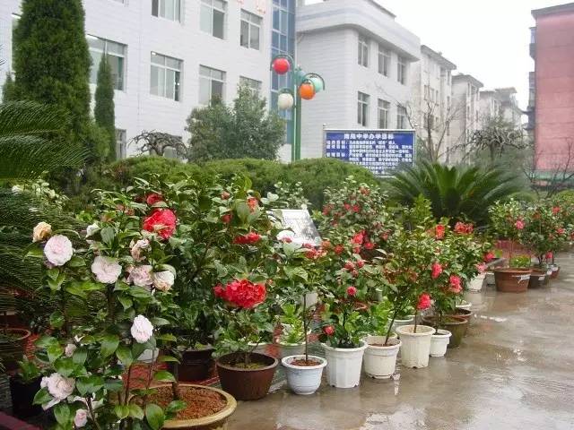 「美丽开发区」最美校园︱南苑中学：精耕细作创精品春风化雨育新苗