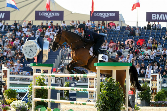 优雅的马术运动,热爱和享受马术运动