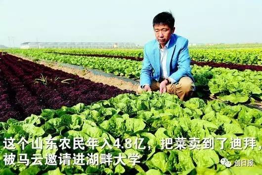 刘强东点名快递小哥月入8万,刘强东说给快递小哥工资翻倍