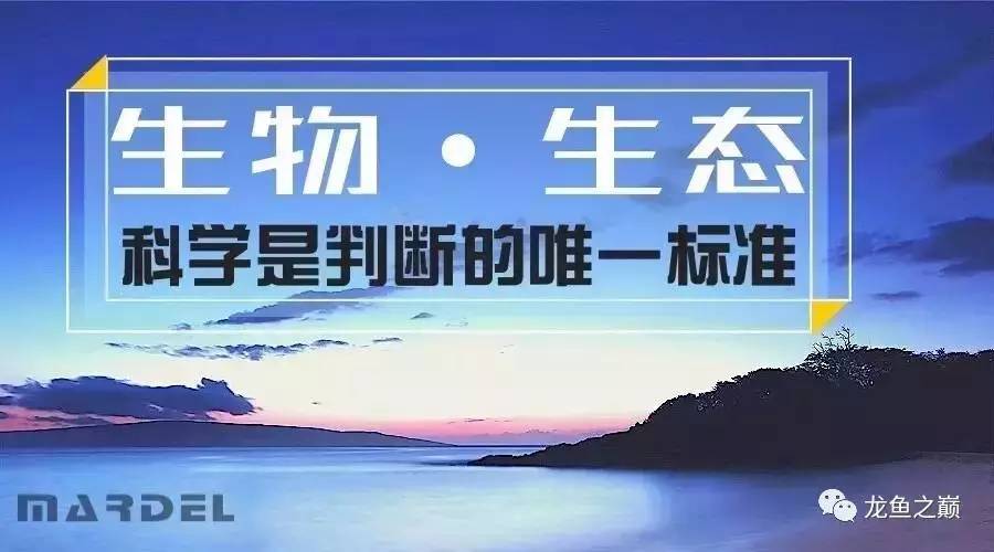 3000字长文，听李佳良聊杭州玛豆的五年弯路感悟